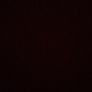 Meet your Posher, Eva